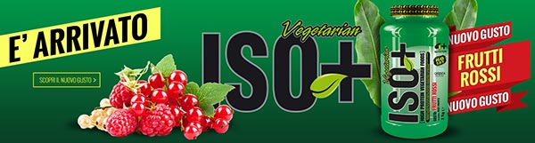 iso-vegetarian-4plus-nutrition-banner.jpg