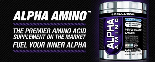 alpha amino miscela di amminoacidi ramificati arricchita con taruina e altri essenziali per stimolare la crescita muscolare