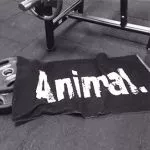 Animal Gym Towel 50x100cm