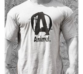 Animal T-Shirt Logo A Grey