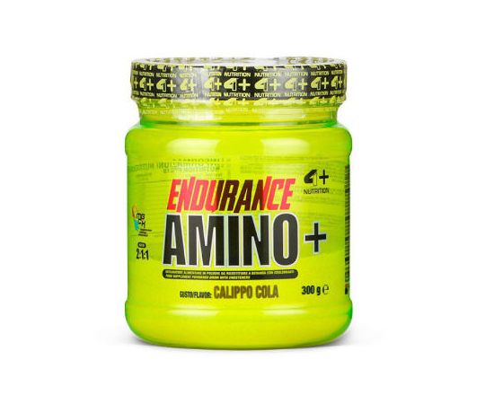 Endurance Amino+ 300g