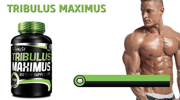 tribulus-maximus-biotech-usa-banner-1-.jpg